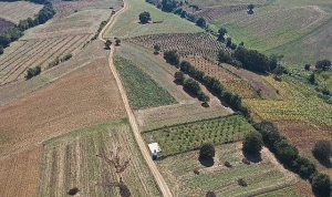 kocaeli-buyuksehir-belediyesinden-tarla-ve-bahce-yollarinda-genisletme-ve-duzenleme-calismalari-B6UPXTRP.jpg