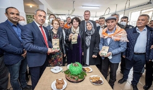 beydagda-kestane-unu-uretimi-ve-ekonomik-katkilar-F6s67RBU.jpg