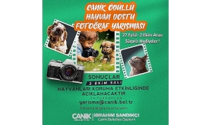 canik-belediyesinden-hayvan-dostu-fotograf-yarismasi-basvurulari-basladi-6saA8lMl.jpg