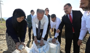 geleneksel-lezzetler-ve-cografi-isaretli-cerrah-kuru-fasulyesi-hasadi-qnlDnSig.jpg