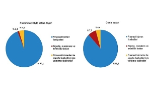 turkiye-finansal-sektorune-genel-bakis-ve-2022-yili-verileri-7XaVDAHD.jpg
