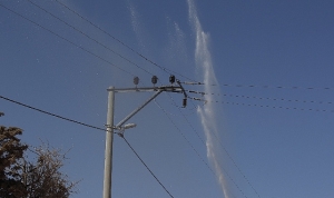 uedastan-denize-yakin-elektrik-sebekesine-ozel-temizlik-calismasi-f87pN9bd.jpg